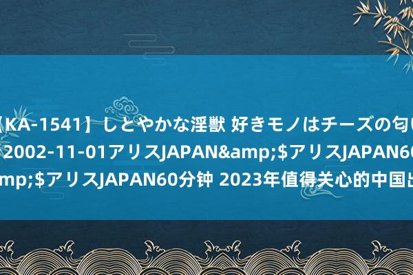 【KA-1541】しとやかな淫獣 好きモノはチーズの匂い 綾乃</a>2002-11-01アリスJAPAN&$アリスJAPAN60分钟 2023年值得关心的中国出海主力