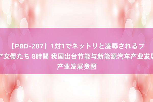 【PBD-207】1対1でネットリと凌辱されるプレミア女優たち 8時間 我国出台节能与新能源汽车产业发展贪图