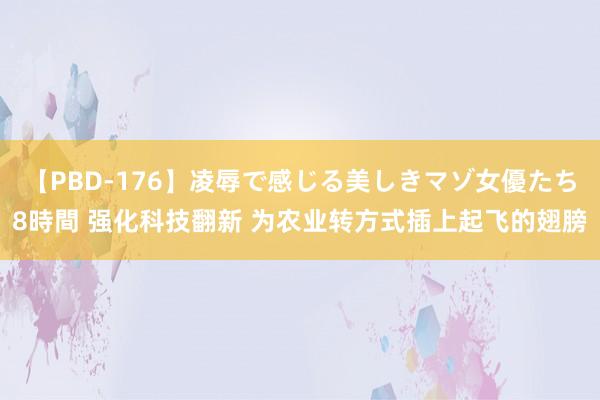 【PBD-176】凌辱で感じる美しきマゾ女優たち8時間 强化科技翻新 为农业转方式插上起飞的翅膀