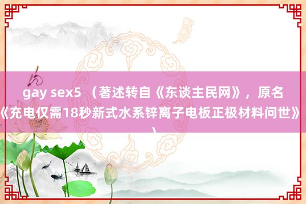 gay sex5 （著述转自《东谈主民网》，原名《充电仅需18秒新式水系锌离子电板正极材料问世》）