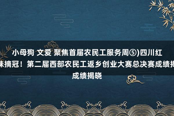 小母狗 文爱 聚焦首届农民工服务周⑤)四川红薯妹摘冠！第二届西部农民工返乡创业大赛总决赛成绩揭晓