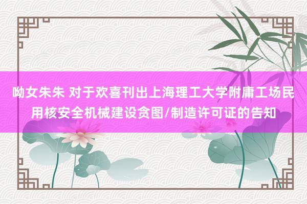 呦女朱朱 对于欢喜刊出上海理工大学附庸工场民用核安全机械建设贪图/制造许可证的告知