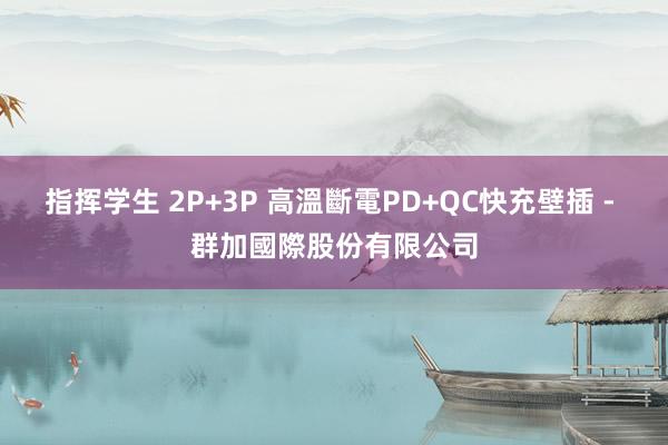 指挥学生 2P+3P 高溫斷電PD+QC快充壁插 - 群加國際股份有限公司