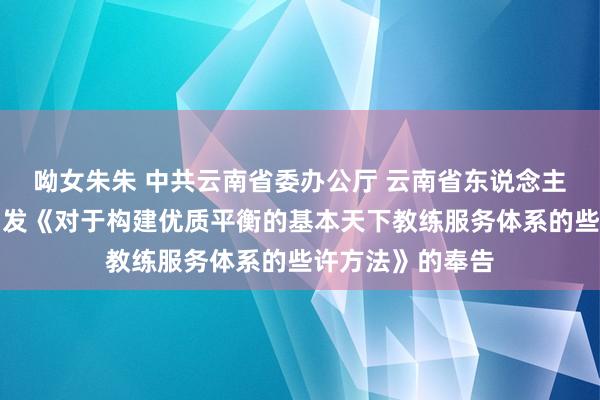 呦女朱朱 中共云南省委办公厅 云南省东说念主民政府办公厅印发《对于构建优质平衡的基本天下教练服务体系的些许方法》的奉告