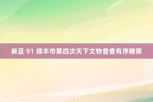 麻豆 91 禄丰市第四次天下文物普查有序鞭策