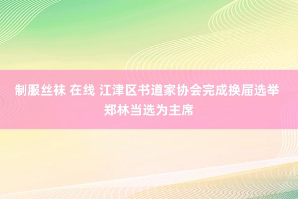 制服丝袜 在线 江津区书道家协会完成换届选举  郑林当选为主席