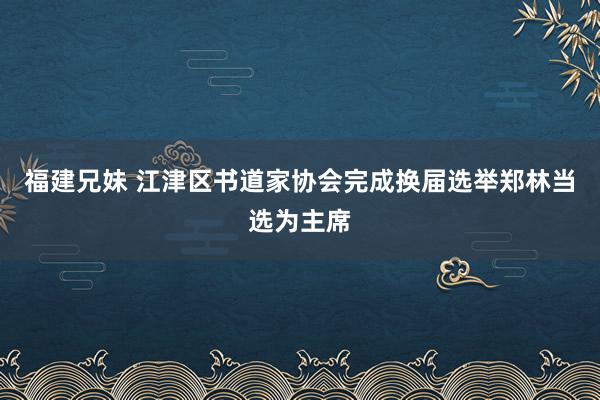 福建兄妹 江津区书道家协会完成换届选举郑林当选为主席